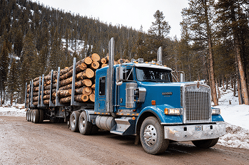 LOGGING TRUCKS